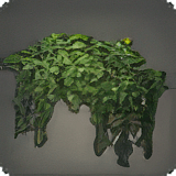 Wall Planter