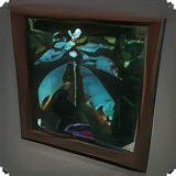 Titania Shadow Box